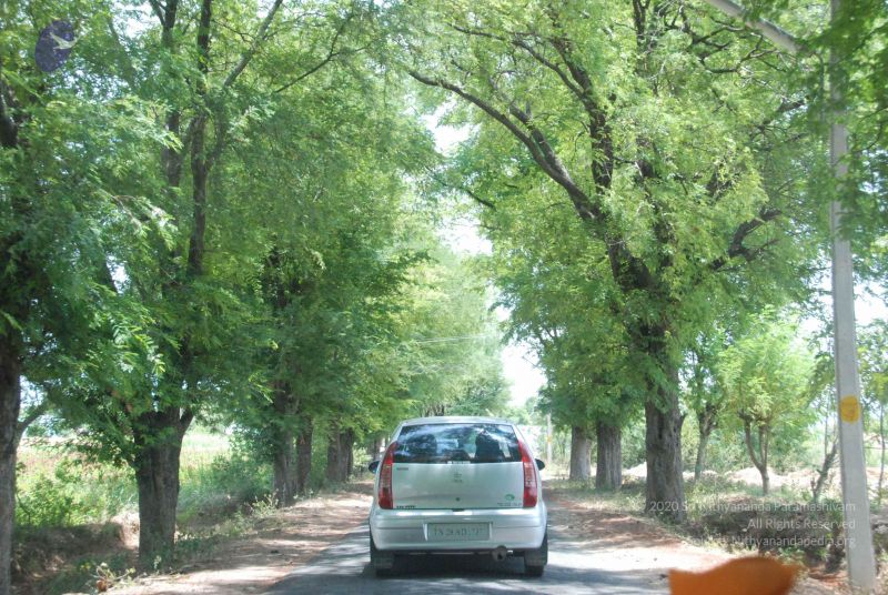 File:20090731 Photo 1209 1sFMTsyzaaktU5BDE AOfpsSsCBWWZxef.JPG