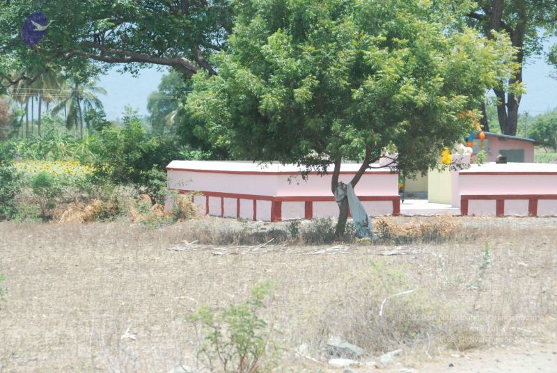 File:20090731 Photo 1216 1fM8BWSJ5LjjzGBUE1EAkBct7-i3B4dsb.JPG