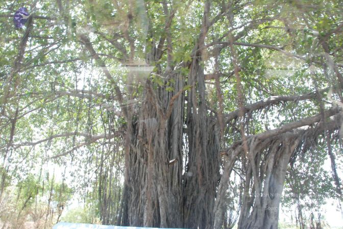 20090731 Photo 1235 1EhPOUt7NPVvdswXt2zqKvRqcfgBEsNZM.JPG