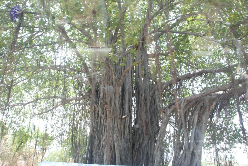 File:20090731 Photo 1235 1EhPOUt7NPVvdswXt2zqKvRqcfgBEsNZM.JPG