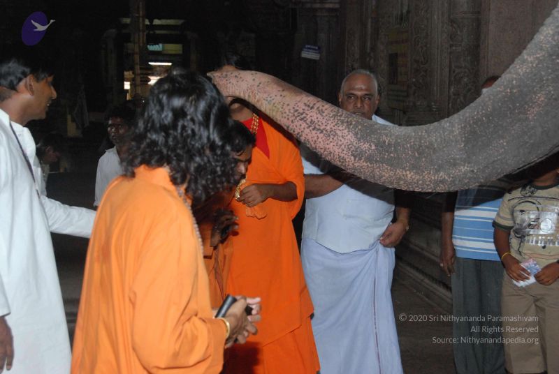 File:20090801 Photo 25 1qoUe59XQpfBtnbO IVThHRhSD cMmdvV.jpg