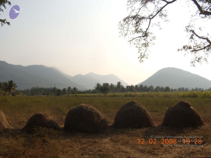 File:20090802 Photo 1028 1L3Xy fxMt9rQHSYTS4SuB0eQQq14ZH1Q.JPG