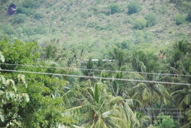 File:20090802 Photo 1199 1HWqfx4YLg6erLIkgEf34ehzX92gRWSJr.JPG