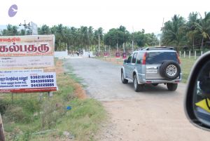 20090802 Photo 1239 1T254Pkxmrp8kGKN9mBhiYICoIuzg9NkF.JPG