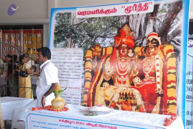 20090802 Photo 1442 1ZqxzxgYNE4l5CzidBOSMkLB 9I7t89JK.JPG