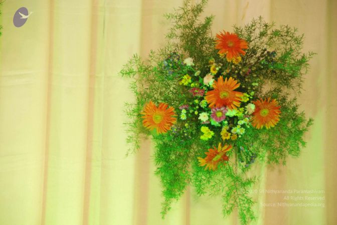 20090802 Photo 1715 1UfQi4T HrSTUPgL gna5YHzpa1ZjHcJe.JPG