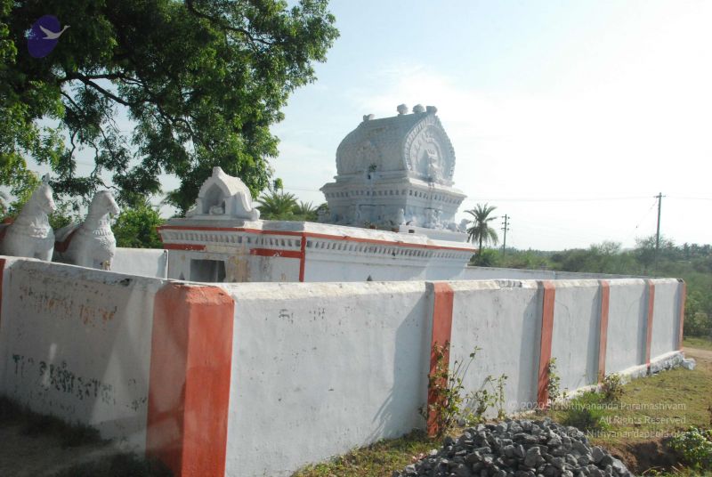 File:20090803 Photo 1004 1hxvPlxXlsPPAM 0PRuokBYcXXnO48Vj9.JPG