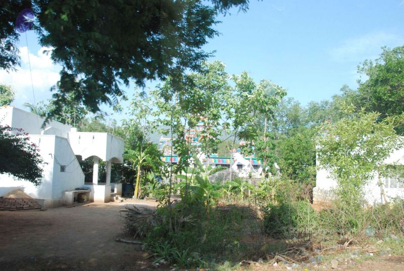 File:20090803 Photo 1006 1ZIT811DPF9wBKVJbD56SVMN-ipucEAvn.JPG