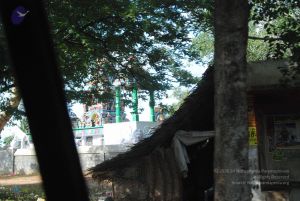 20090803 Photo 1008 1pdCLNMdwp4klma0siN4fBZYsSuWm4R2Z.JPG