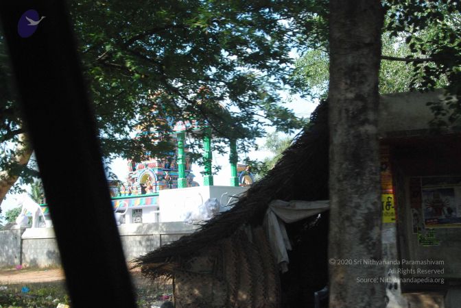 20090803 Photo 1008 1pdCLNMdwp4klma0siN4fBZYsSuWm4R2Z.JPG