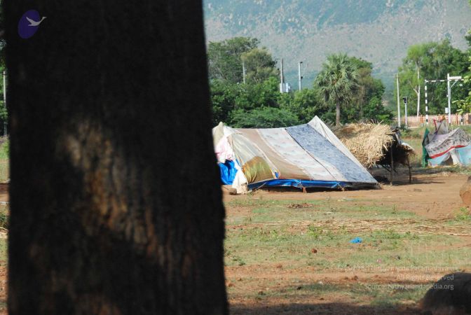 20090803 Photo 1009 1D0 LK3IxtUhqB57aLQQA2wrfni4AqK7 .JPG