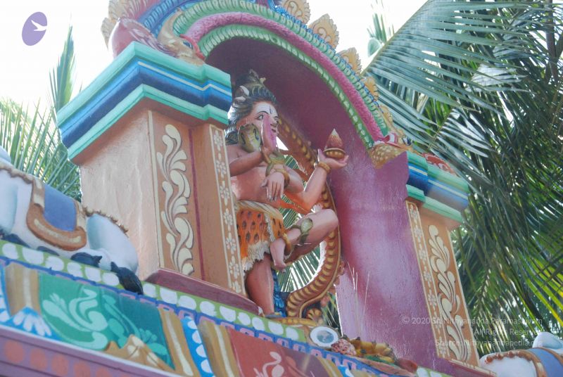 File:20090803 Photo 1014 1Vj2QdaTkRl39RFDwWhqgWQ2Aybmxv9oQ.JPG