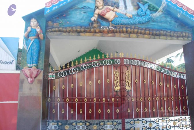 20090803 Photo 1023 1cgfY5aip8MynO4g4R-waK9lEex6XaIOJ.JPG