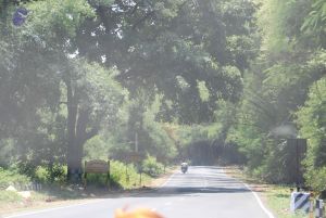 20090803 Photo 1038 1k a2YB7oP1fzqMWtTJ0uRB3NnpCqCvwp.JPG