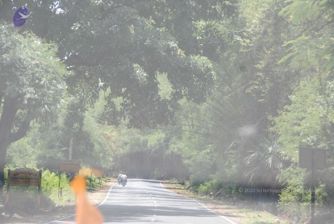 20090803 Photo 1039 1zsx 0j46mj xDiKLG2UBAJT9rp4OgK0p.JPG