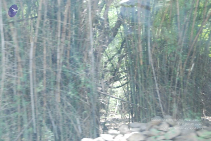 File:20090803 Photo 1041 1eBemkMmpJJZigwHfI-o5BOhddr-1-UmU.JPG