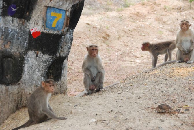 20090803 Photo 1062 1zjk9BkzIxXN6FfnOSAyKkTiJHsim7Y4l.JPG