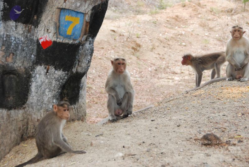 File:20090803 Photo 1062 1zjk9BkzIxXN6FfnOSAyKkTiJHsim7Y4l.JPG