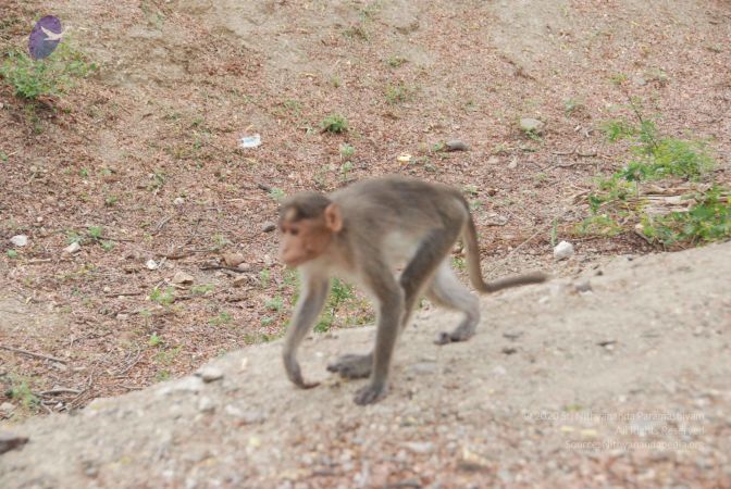 20090803 Photo 1063 1MOuupYyZjYfp-UCTfT2zAm1Kl WioIDx.JPG