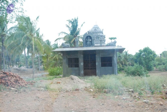 20090803 Photo 1068 14m6SrOq24BkGOtHj5BJ0xUSFhR ef9uf.JPG