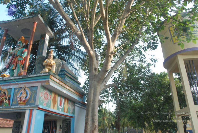 File:20090803 Photo 1120 117CjPS78aDcFS~CoYH87bZdna0DZ6-b.JPG