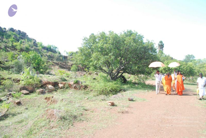 File:20090803 Photo 1428 1A4P 1KeQfcYfVE- 91nYXwJeqtBQrpDc.JPG