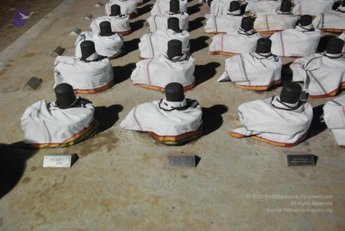 20090803 Photo 1542 1ast1EcCTNFAF59LbjUoHbOLjOviv6THF.JPG