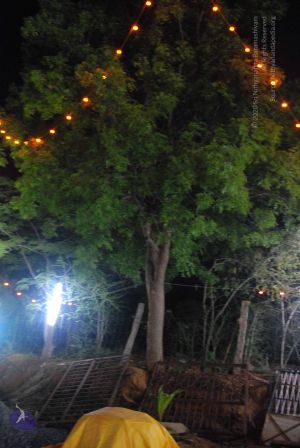 20090803 Photo 1568 1mqJ 0PyYT-eM11uld-Q4cTqZ8d8Mrd38.JPG