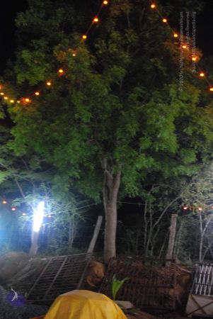 20090803 Photo 1568 1mqJ 0PyYT-eM11uld-Q4cTqZ8d8Mrd38.JPG