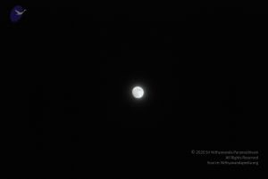 20090804 Photo 1016 1aMPh3x44x5q1CYQFdJv2aN-K2qIMCVVq.JPG