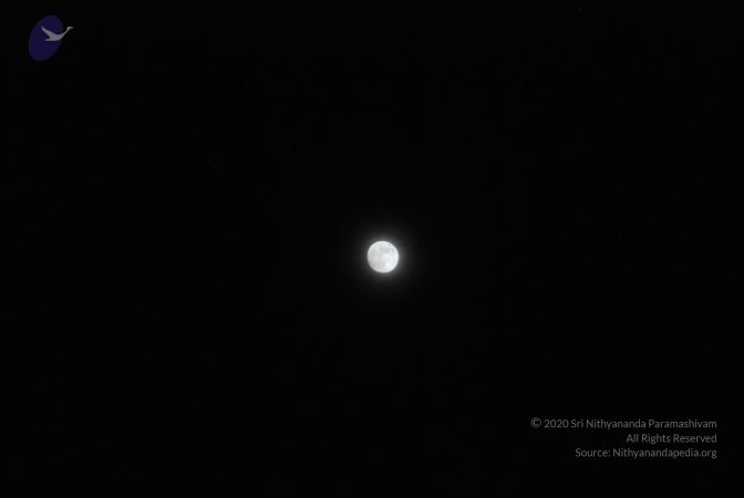 20090804 Photo 1016 1aMPh3x44x5q1CYQFdJv2aN-K2qIMCVVq.JPG