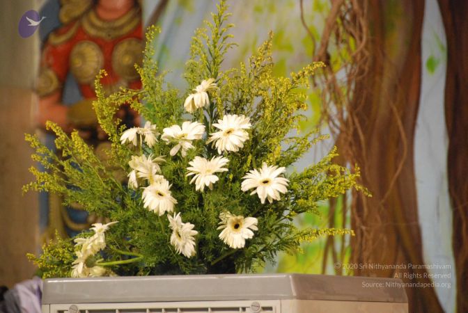 20090804 Photo 1051 1VaXnAdue5 ARSSsY8lGp07U-hCkHjyzH.JPG