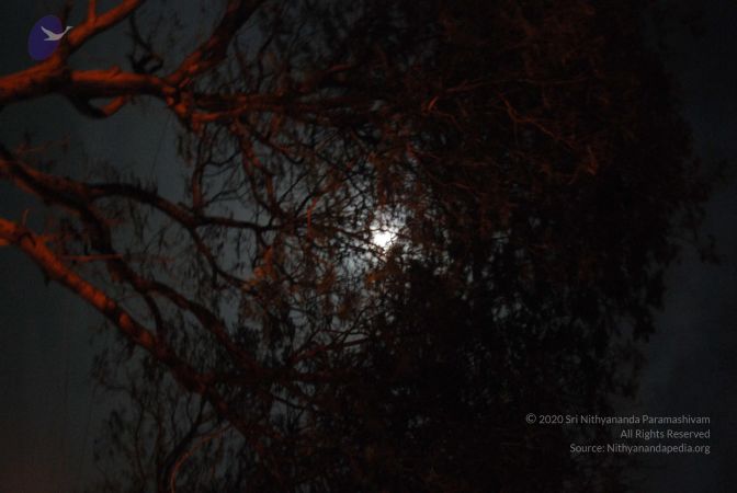 20090804 Photo 1263 1C6rfjbTnHA1KfNF7BWT2pzgtyyaEyYsU.JPG