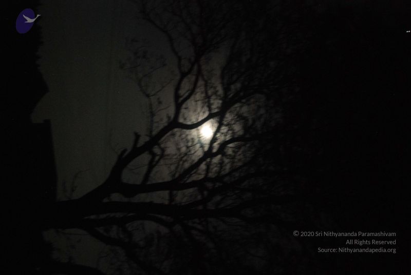 File:20090804 Photo 1267 1mQ1zMFa1O2yVjU5oSEl3USLZx-k59a5w.JPG