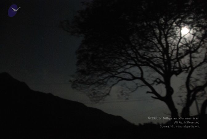 20090804 Photo 1269 1MC4CEjOdnP7wFH6RQ4Xb4USJFa1IV5Jg.JPG