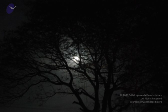 20090804 Photo 1272 1Sag0-Hiw-fKruz0vbWChqmEsHCO9dUo4.JPG