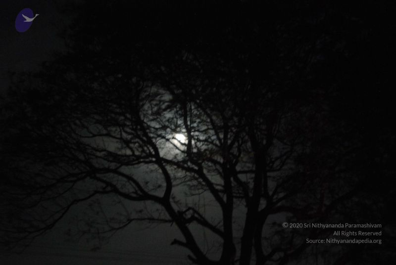 File:20090804 Photo 1272 1Sag0-Hiw-fKruz0vbWChqmEsHCO9dUo4.JPG