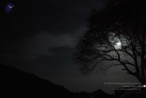 20090804 Photo 1273 1ISu X0itD3J-6VqIN50tp5c-0o7oKEFi.JPG