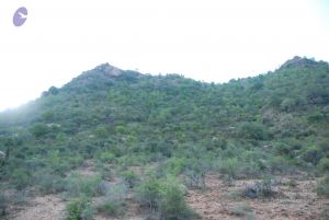 20090805 Photo 1031 1NlsfxNHIY MxUobVzZy3IPe5qYkcde 3.JPG