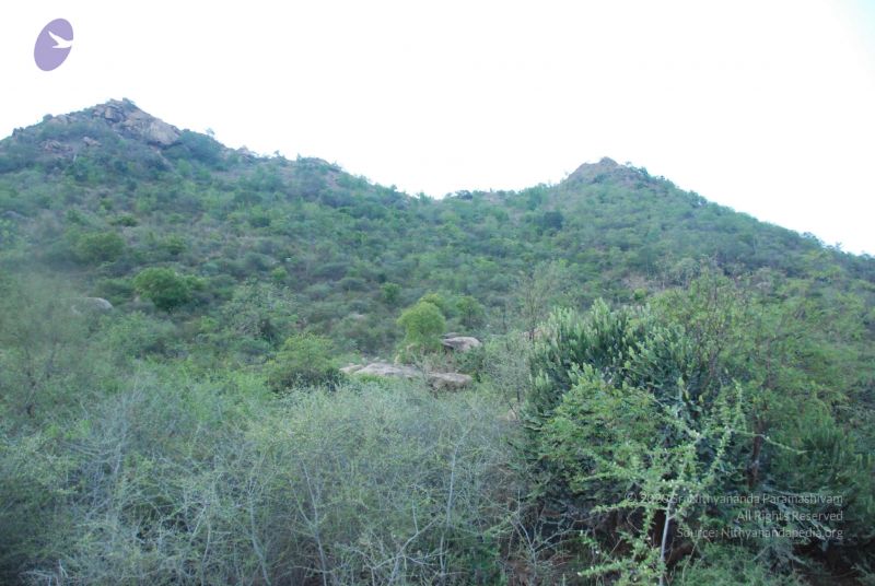 File:20090805 Photo 1036 1qWeIpUiMSiVHtM3g62LaLMMf026GRYRm.JPG