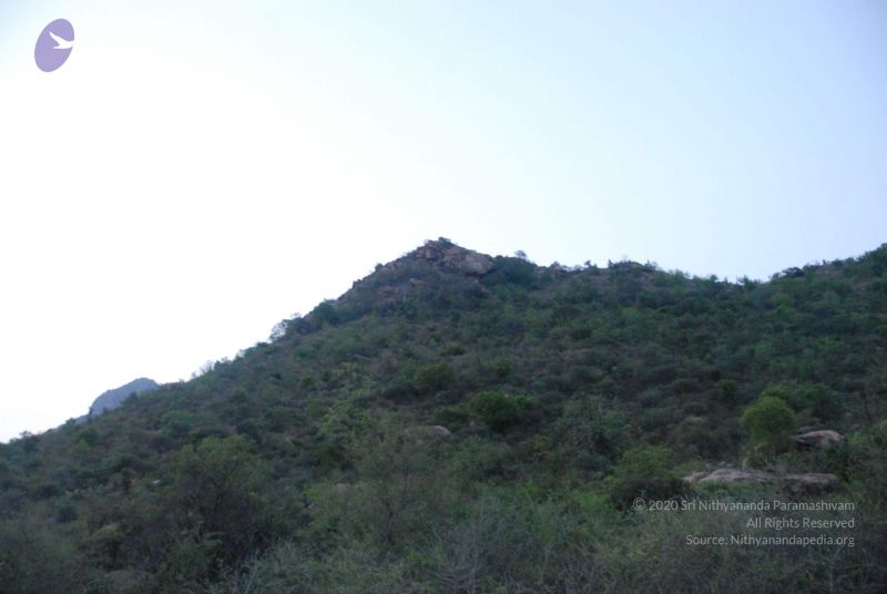 File:20090805 Photo 1037 17K71tpYgvZA9OfqC EzYrOW8FuYYBhx2.JPG