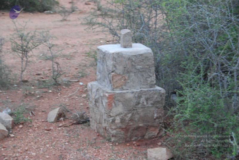 File:20090805 Photo 1043 1TBGVf3DxHjpGXBCKkRwbLTrWrONdInIp.JPG