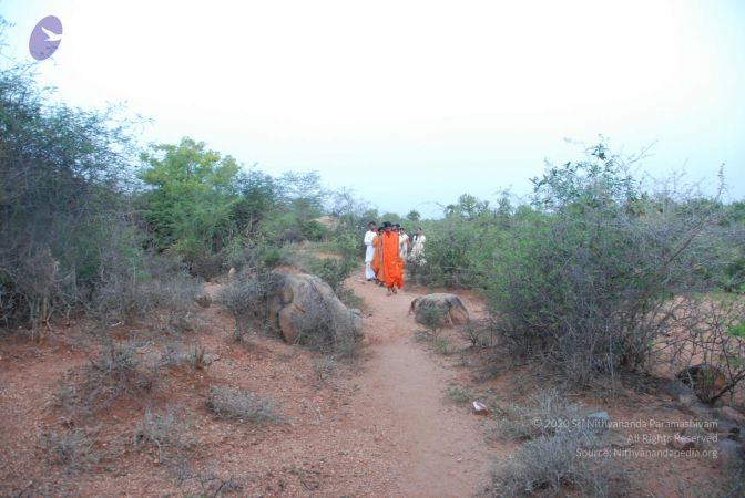 20090805 Photo 1061 1l5bB npPXnMRAyVASrCSOEL8Ue s1M s.JPG