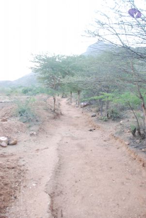 20090805 Photo 1071 1yOU TPxhABMthgGPR4 -F4Xfr8EnDCV6.JPG