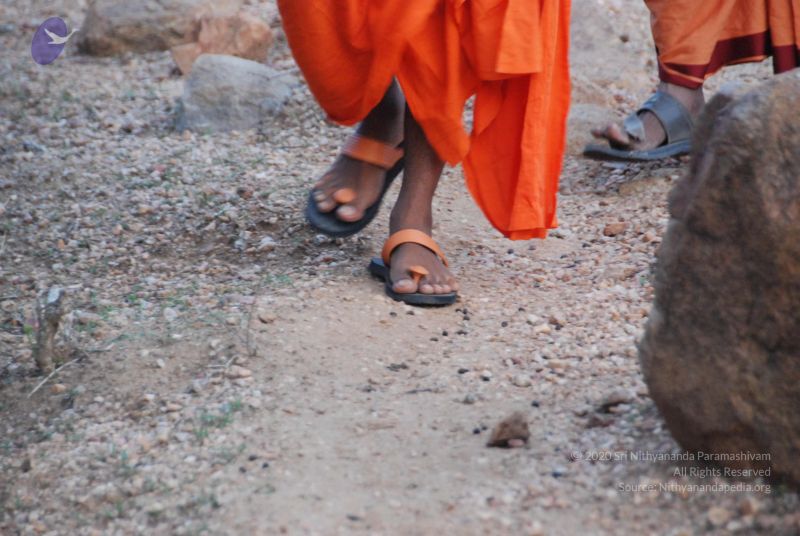 File:20090805 Photo 1075 16 xijXI fd5LSAApvBN1N1qs2PHRK9vT.JPG