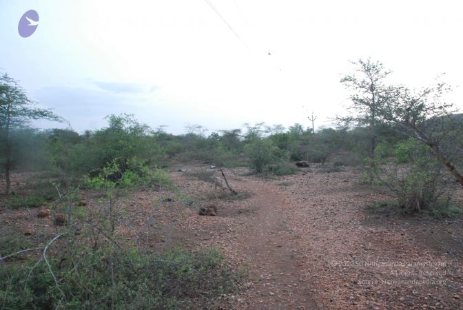 20090805 Photo 1115 1l5AvNzaBzS0OppSbR0SrIsRKdFwya dr.JPG