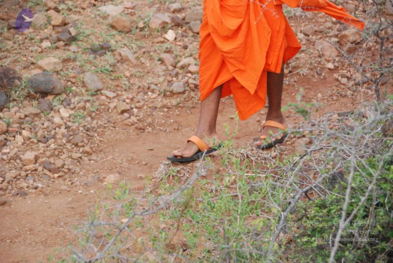 File:20090805 Photo 1144 1OEBzTS4YXxV3JwA2cBH4PdJ2iXSTNT9S.JPG