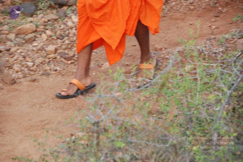 File:20090805 Photo 1146 1MKPoYKkPgfQRnZg5w6WoM GyPbvvsb5s.JPG