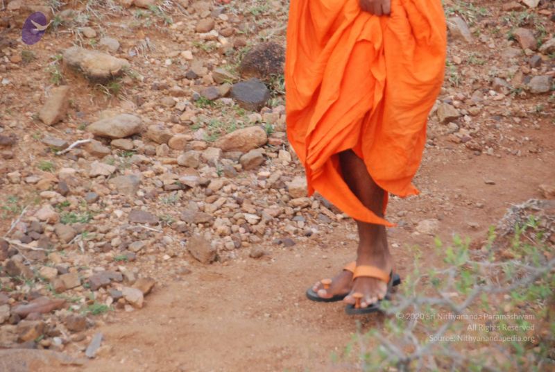 File:20090805 Photo 1147 15TYyDSQRda8NXY6hMixGUM2glXs3BRBm.JPG