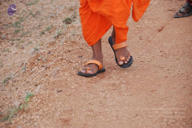 File:20090805 Photo 1158 1ziVNJpYDH5b7N38ZRwWEJOlWOzmCaNFD.JPG